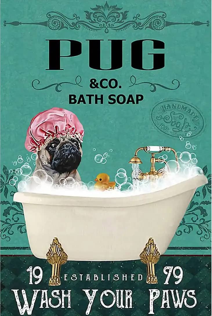 Dog Pug Bath Soap Wash Your Paws Poster