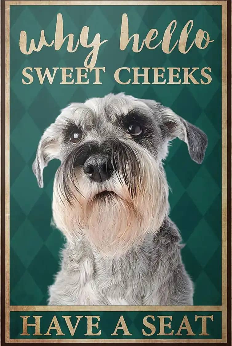 Dog Schnauzer Why Hello Sweet Cheeks Have A Seat Poster