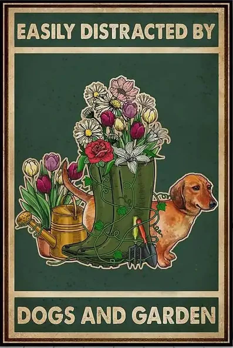 Dogs And Garden Poster