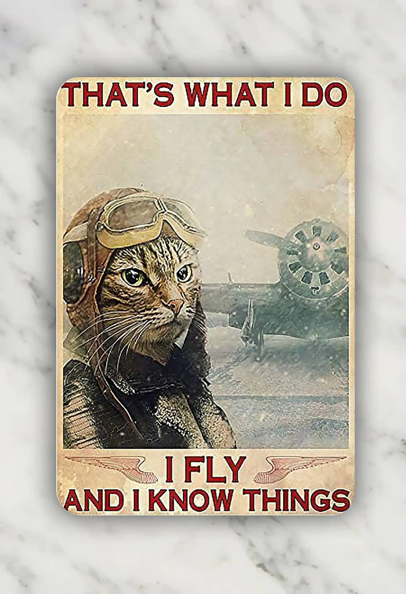 Funny Cat Pilot I Fly And I Know Things Wall Decoration Custom Metal Sign