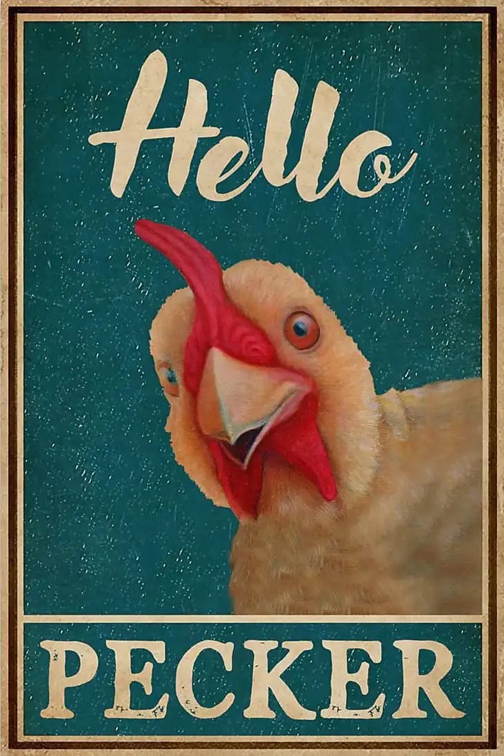 Funny Chicken Hello Pecker Poster