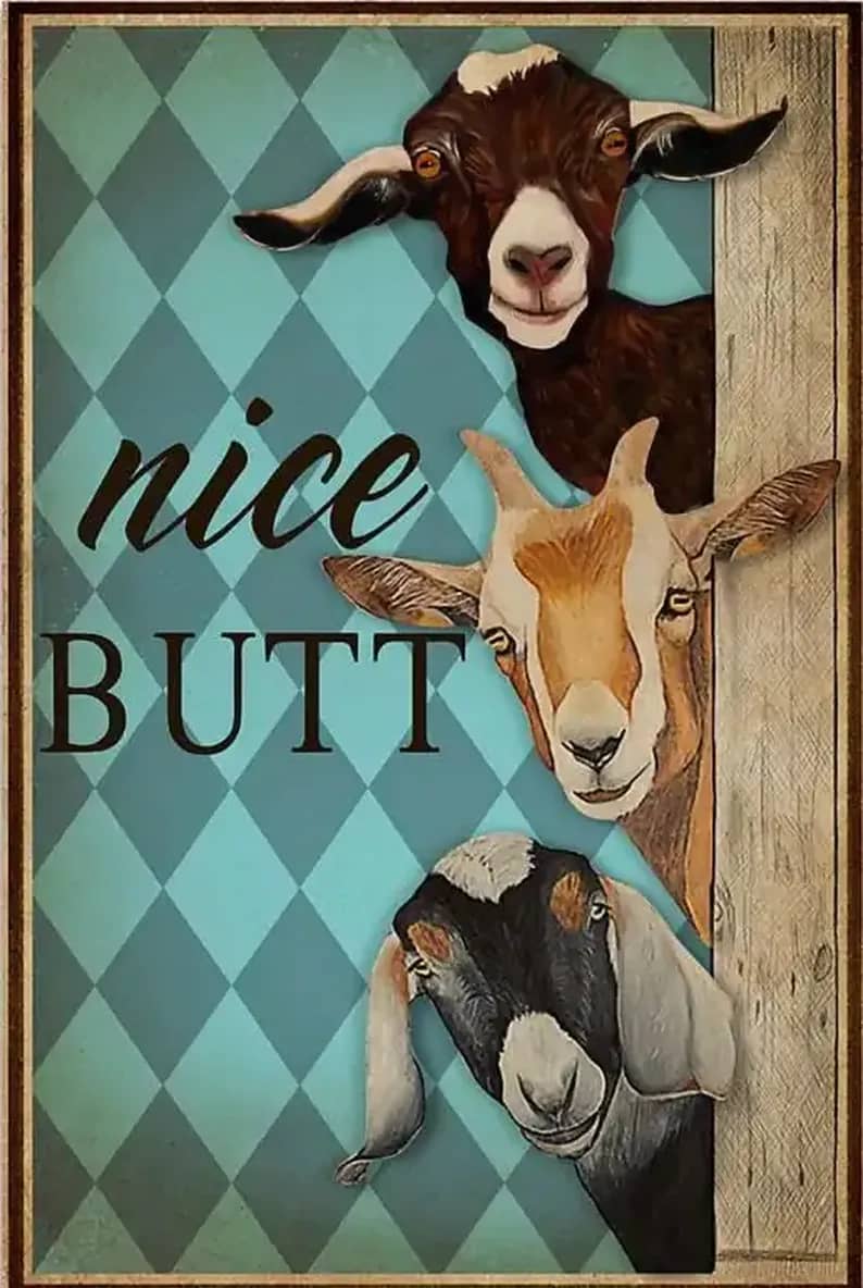 Goat Nice Butt Poster