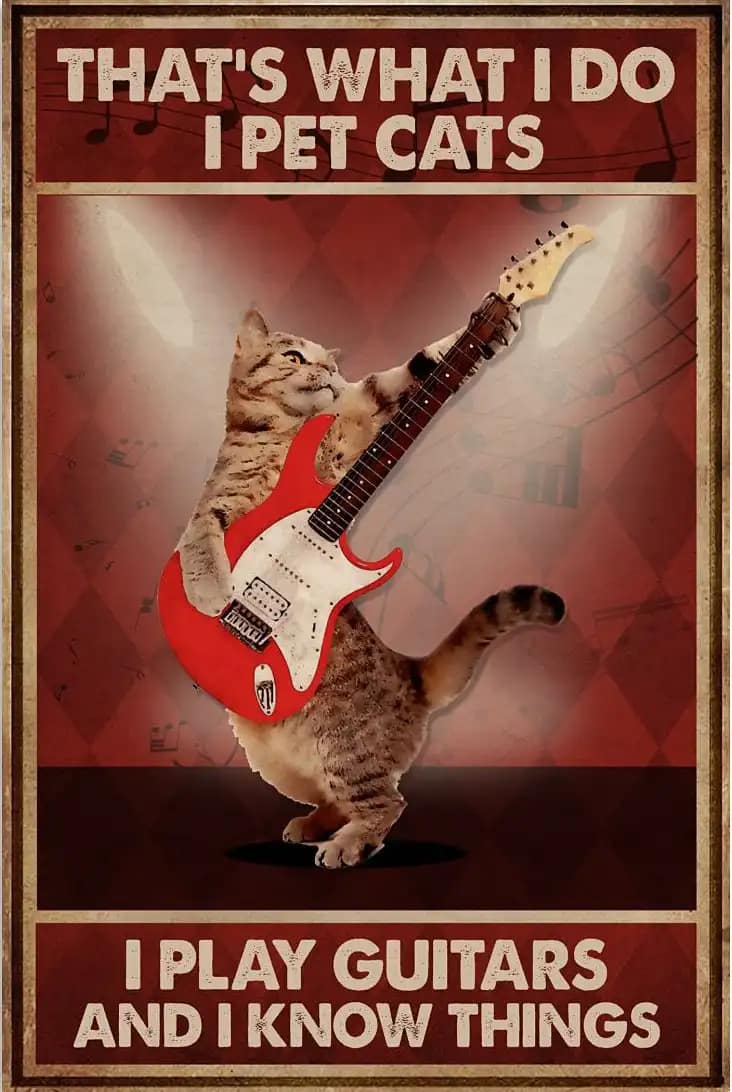 Guitar That'S What I Do Pet Cat Play Poster