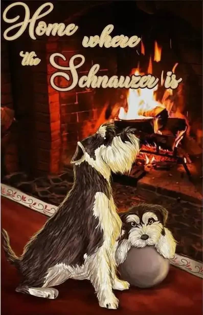 Home Where The Schnauzer Is Poster