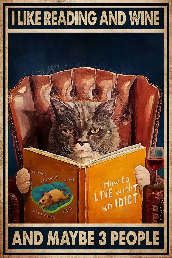I Like Reading And Wine Maybe 3 People Cat Poster