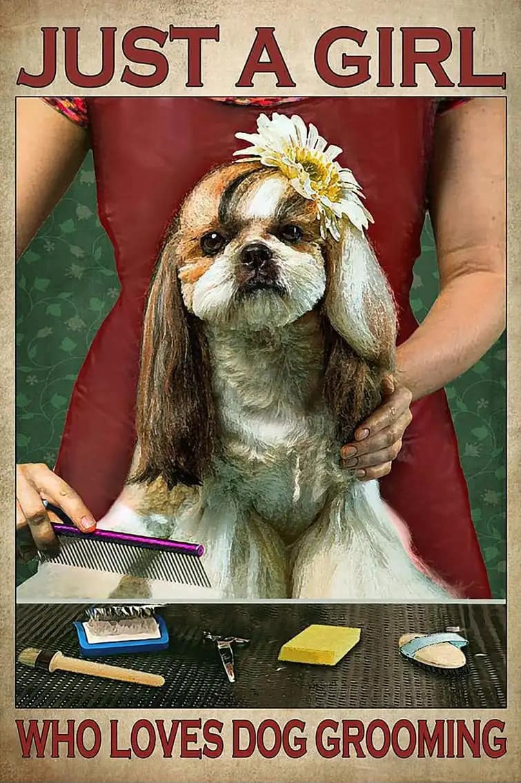 Just A Girl Loves Dog Grooming Lover Who Poster