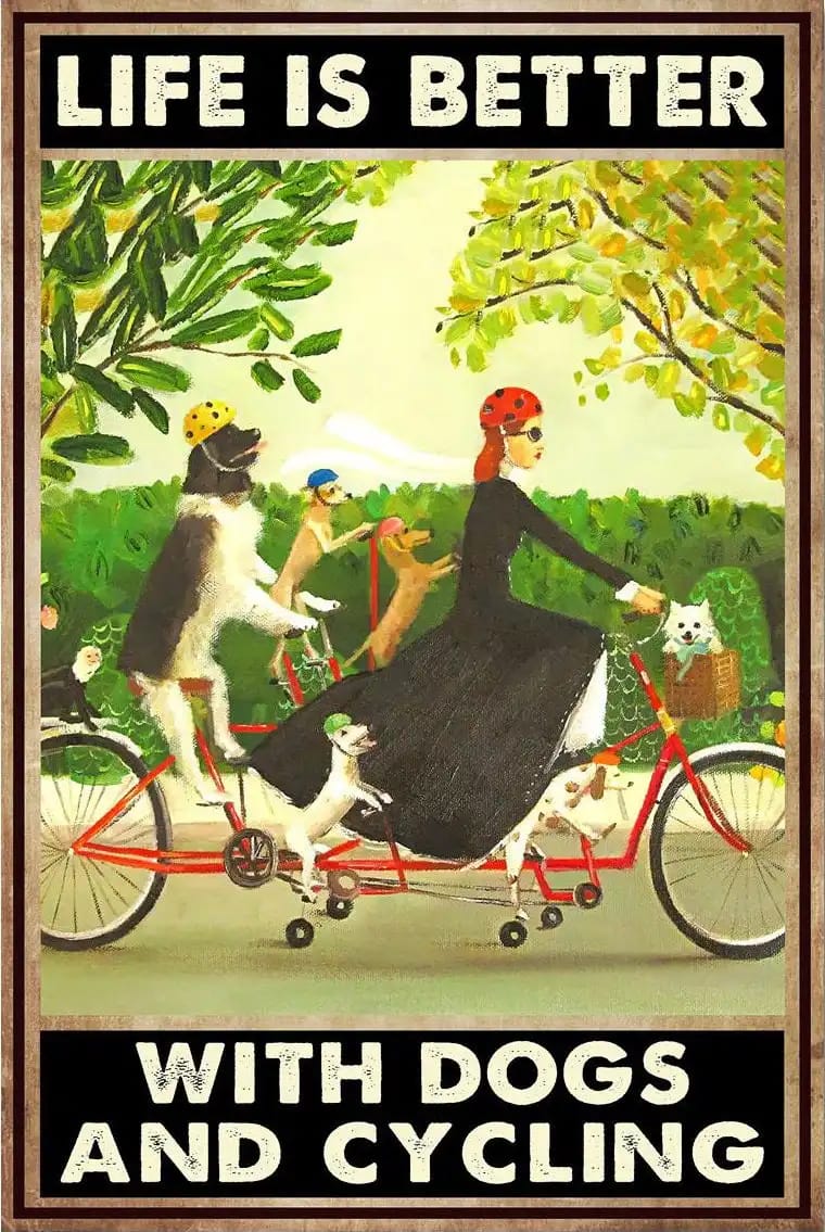 Life Is Better With Dog And Cycling Poster