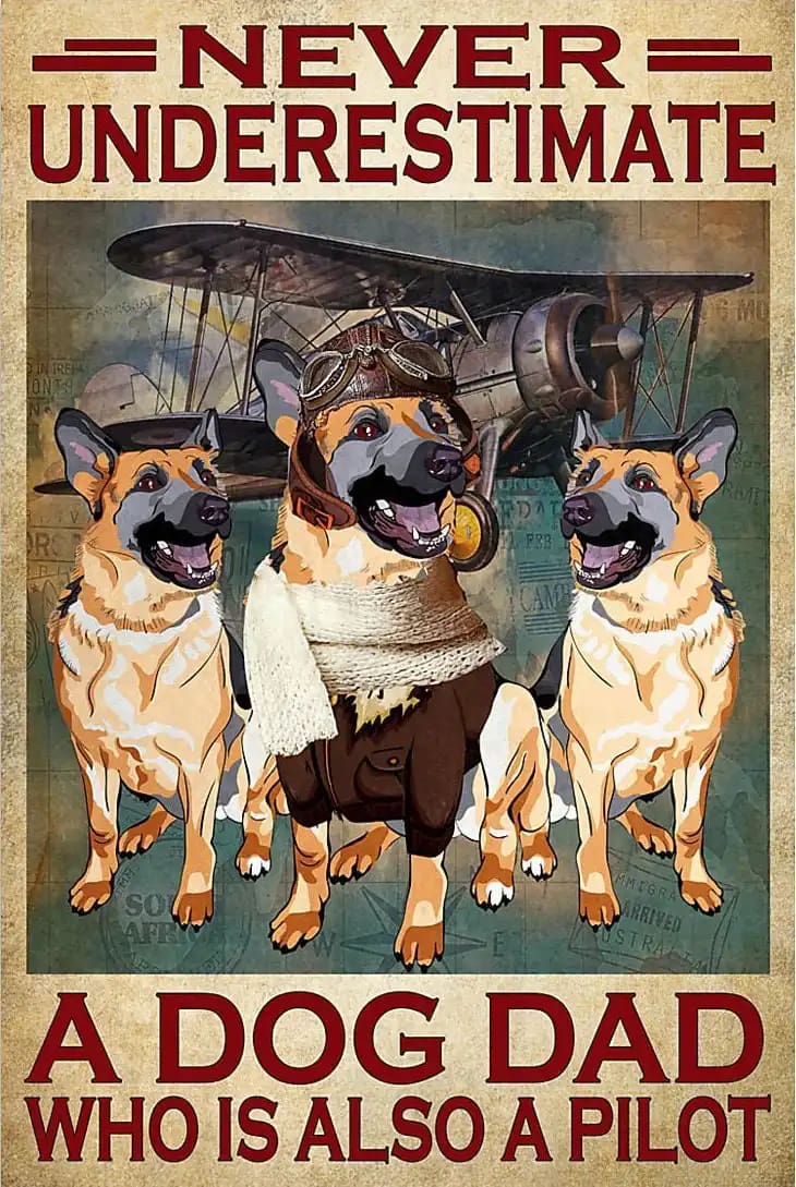 Never Underestimate A Dog Dad Who Is Also Pilot Gift For Family Friend Poster