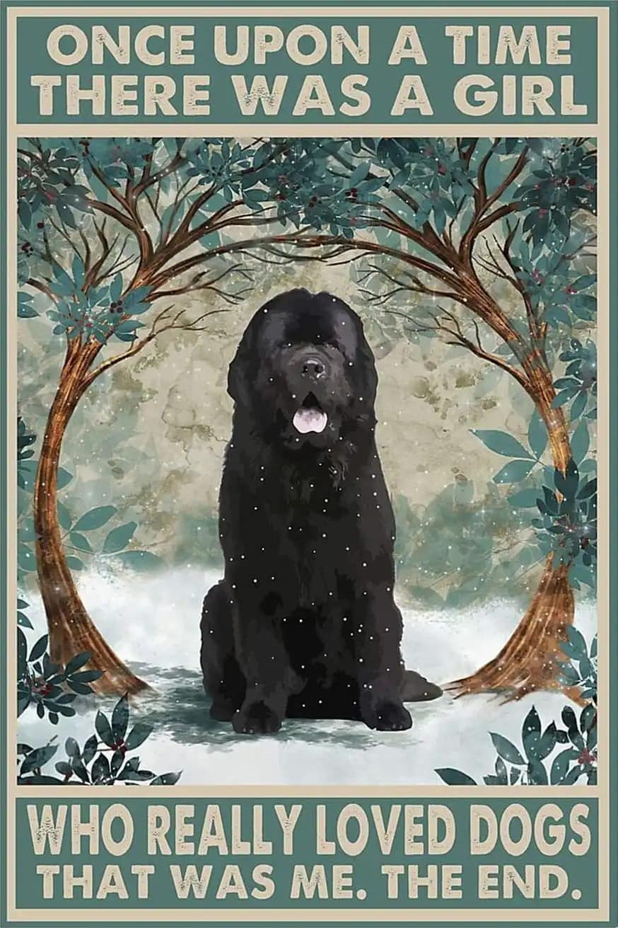 Once Upon A Time There Was Girl Who Really Loved Dogs That Me Newfoundland Dog Lover Poster