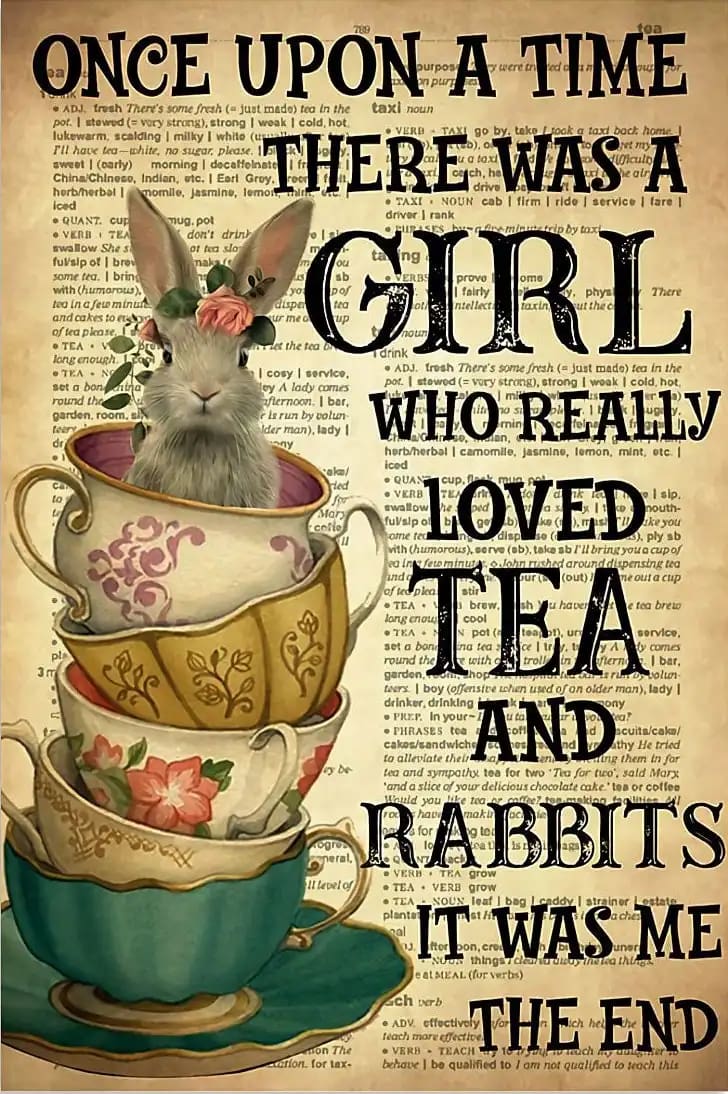 Once Upon The Time There Was A Girl Who Really Loved Tea And Rabbit It Me Poster