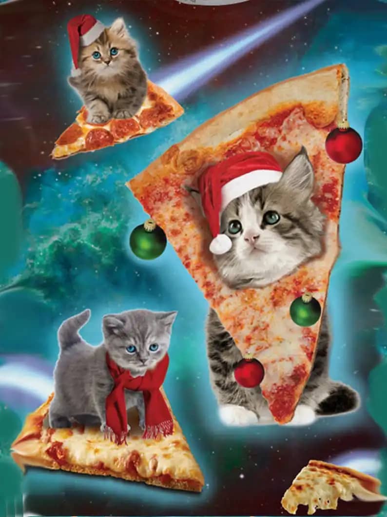 Personalized Cat With Pizza In Space Pet Lovers Gift Fleece Blanket