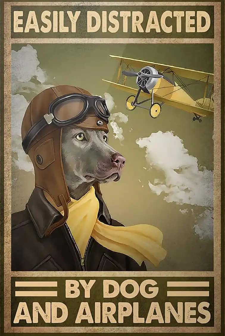 Pilot Dog Easily Distracted By And Airplanes Lover Poster