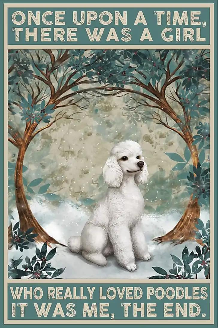 Poodle Once Upon A Time There Was Girl Who Really Loved Poodles It Me The End Gift For Family Friend Poster