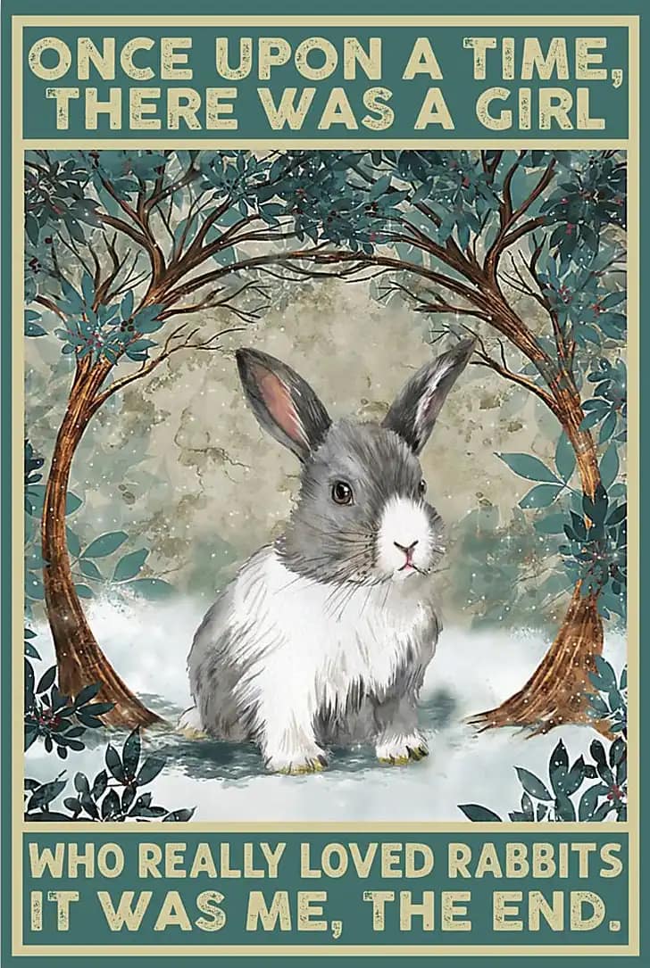Rabbit Once Upon A Time There Was Girl Who Really Loved Rabbits It Me Poster