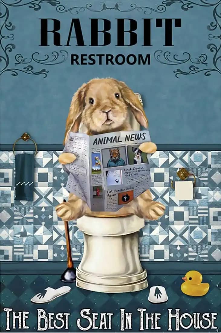 Rabbit Restroom The Best Seat In House Poster