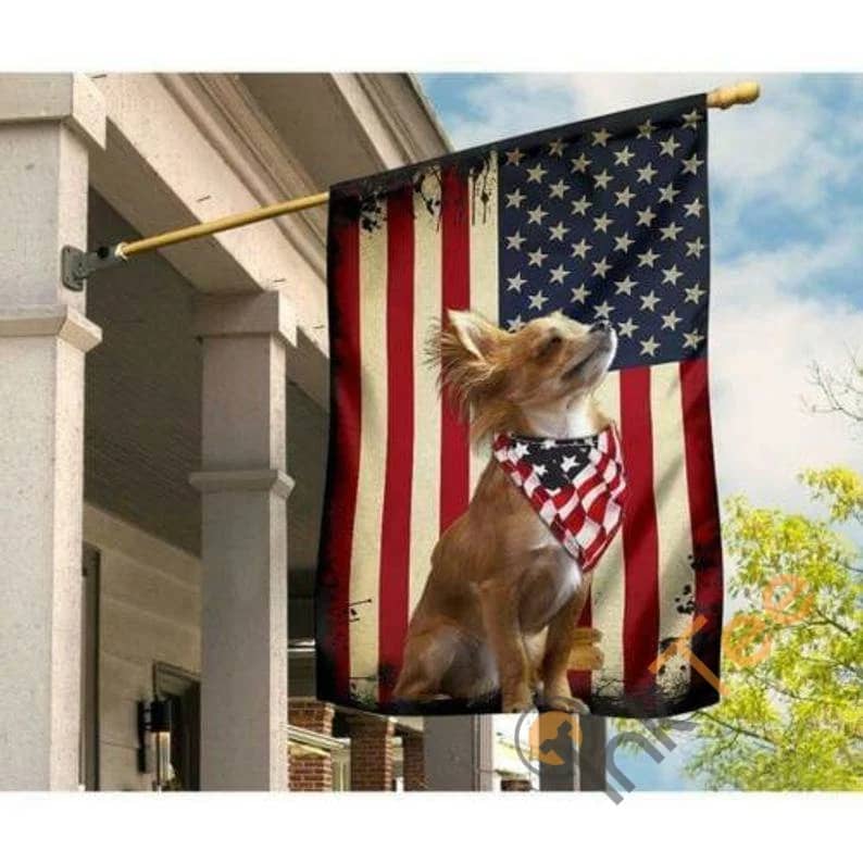 Chihuahua Us Sku 0311 House Flag