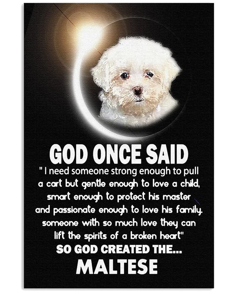 Maltese God Created The Maltese Unframed / Wrapped Canvas Wall Decor Poster