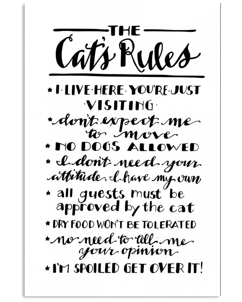 The Cat's Rules Simple White Unframed / Wrapped Canvas Wall Decor Poster