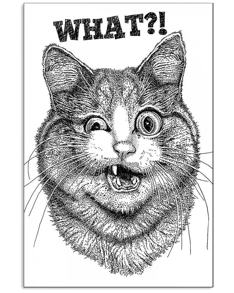 What Cat Funny Unframed / Wrapped Canvas Wall Decor Poster