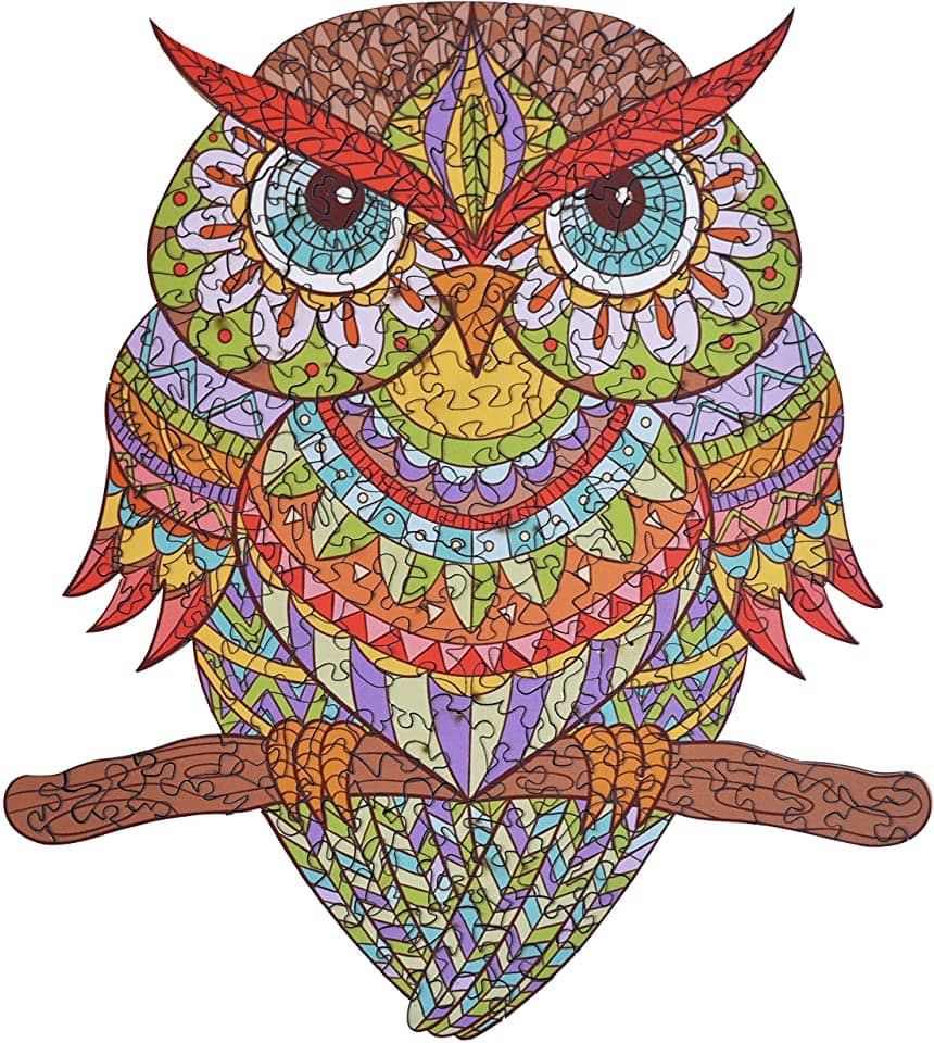 Colorful Owl Jigsaw Puzzle