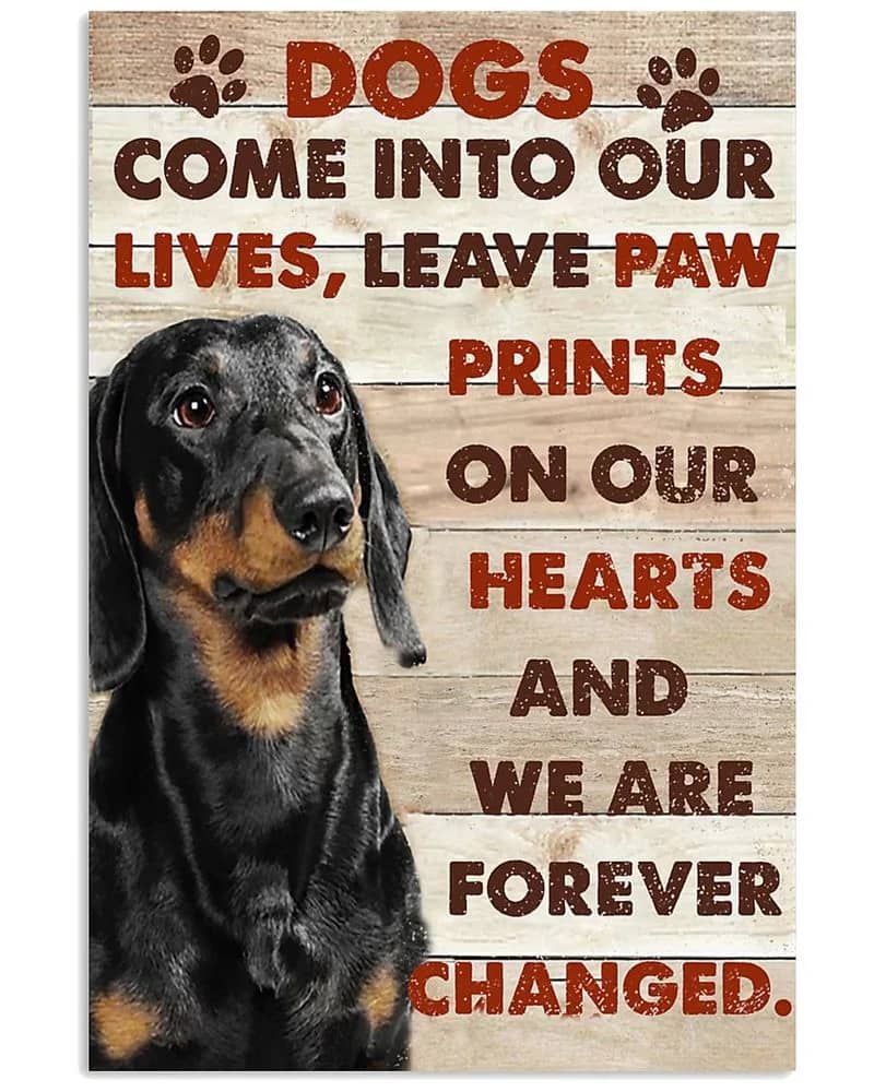 Dachshund Come Into Our Lives Unframed / Wrapped Canvas Wall Decor Poster