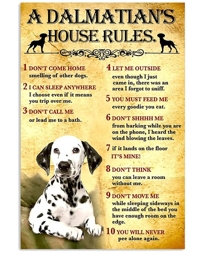 Dalmatian House Rules Unframed / Wrapped Canvas Wall Decor Poster