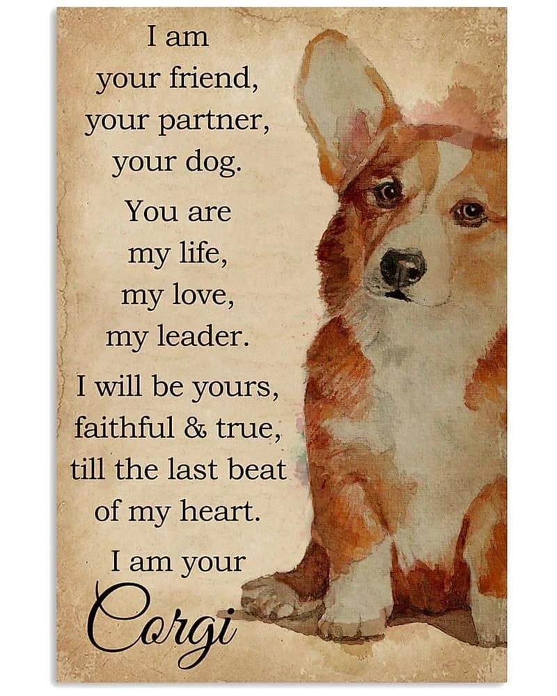 I Am Your Friend Corgi Unframed , Wrapped Frame Canvas Wall Decor, Dog , Animal Poster