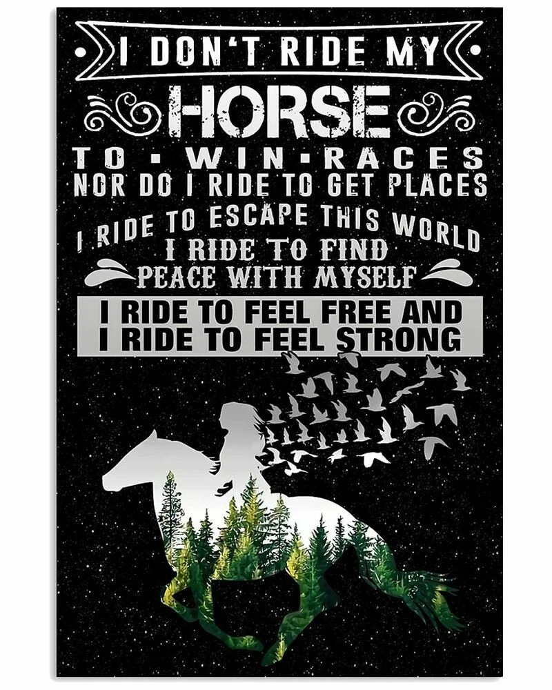 I Do Not Ride My Horse Vertical  Wall Decor  (no Frame) Poster
