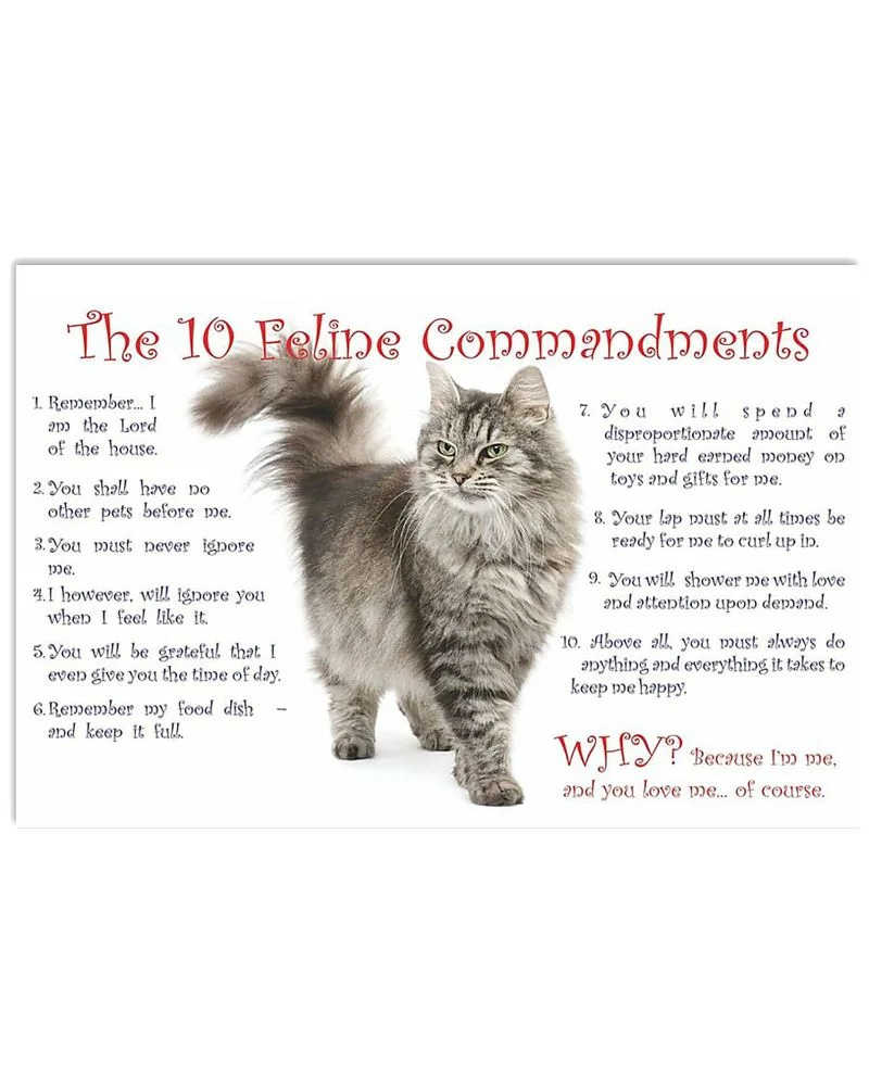 The 10 Feline Commandments Cat Unframed / Wrapped Canvas Wall Decor Poster