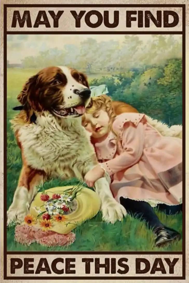 Bernard Dog And Girl May You Find Peace This Day Poster