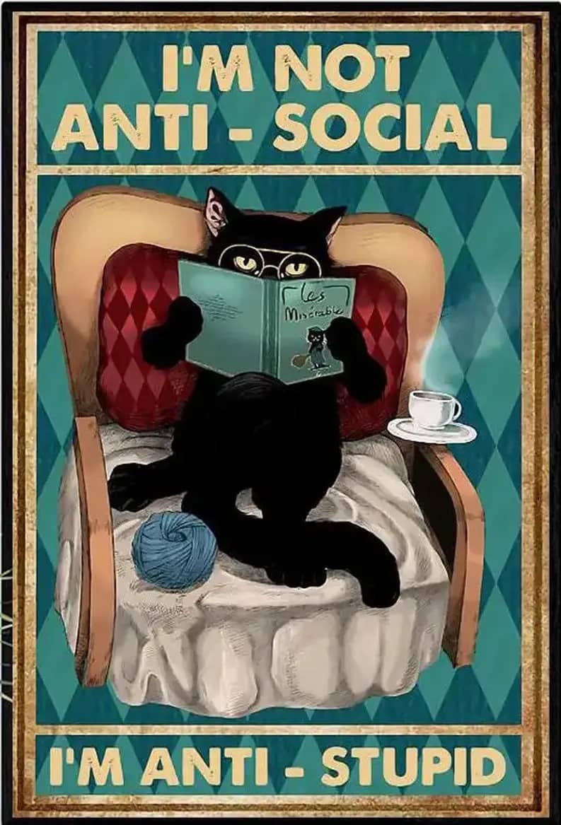 Black Cat I'M Not Anti-Social ' Stupid Poster