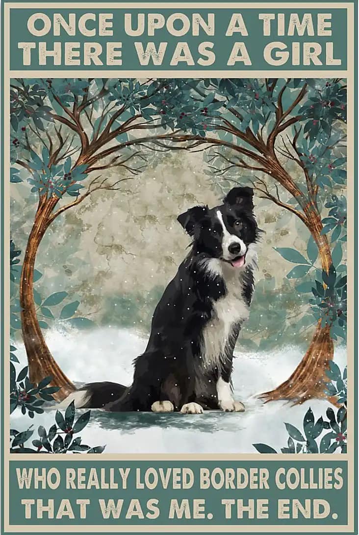 Border Collie Dog Once Upon A Time There Was Girl Who Really Loves Dogs Poster