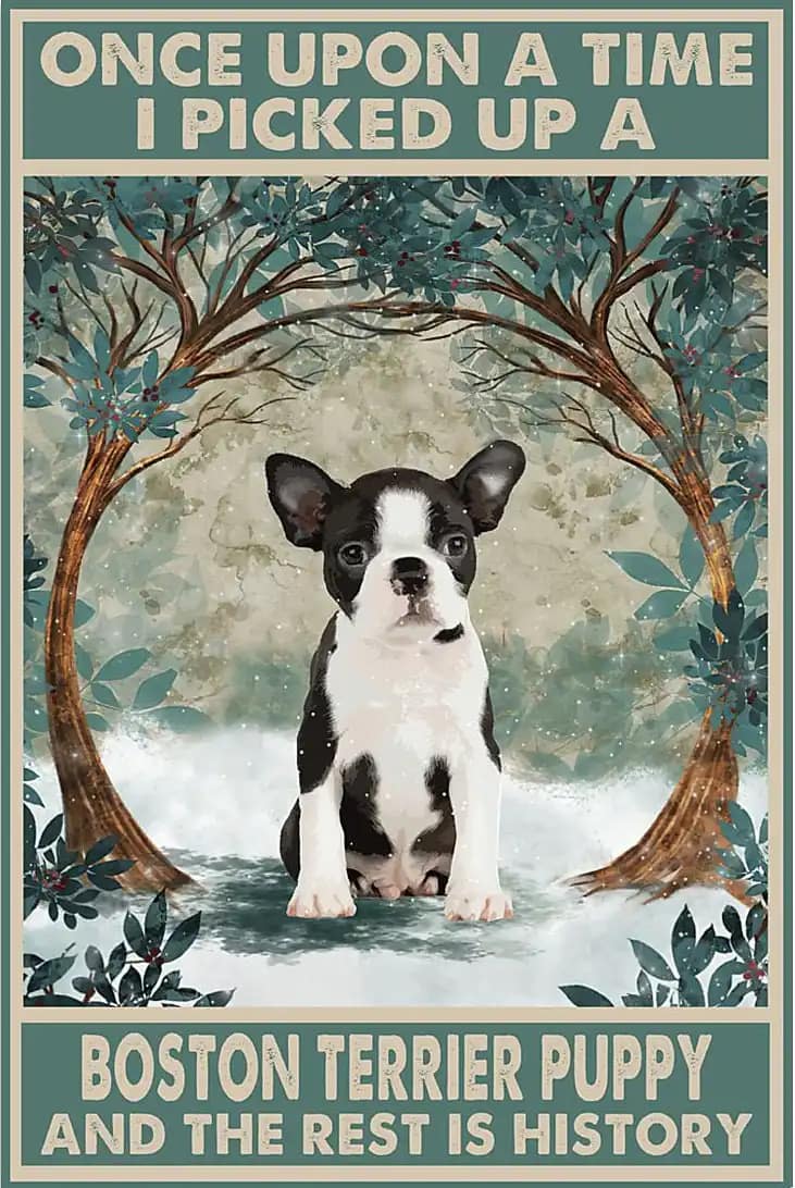 Boston Puppy Once Upon A Time I Picked Up Terrier And The Rest Is History Poster