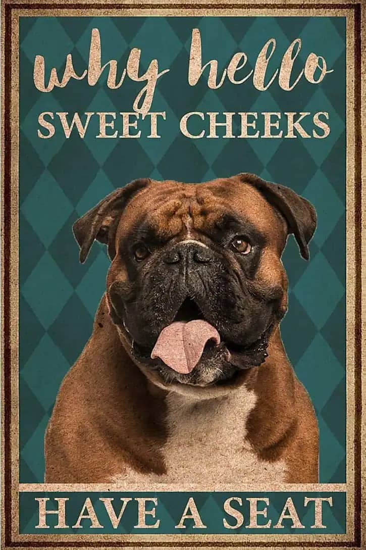 Boxer Why Hello Sweet Cheeks Have A Seat Dog Poster
