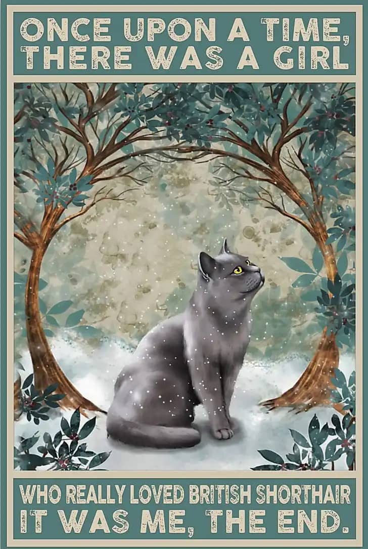 British Shorthair Once Upon A Time Poster