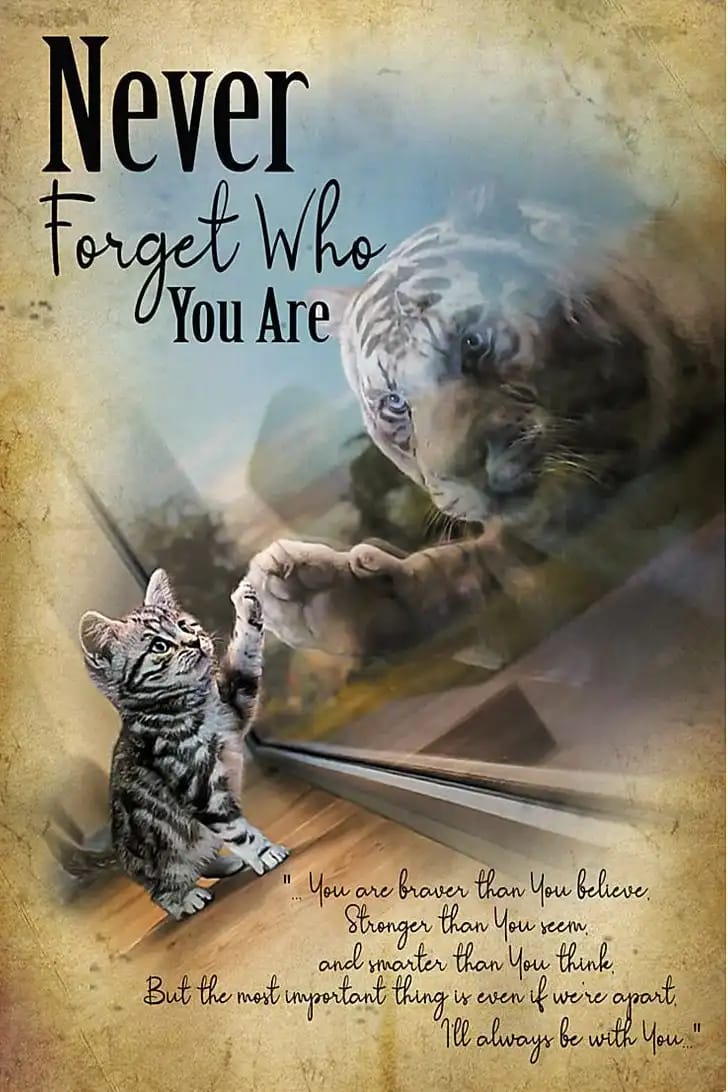 Cat And Tiger Nerver Forget Who You Are Poster