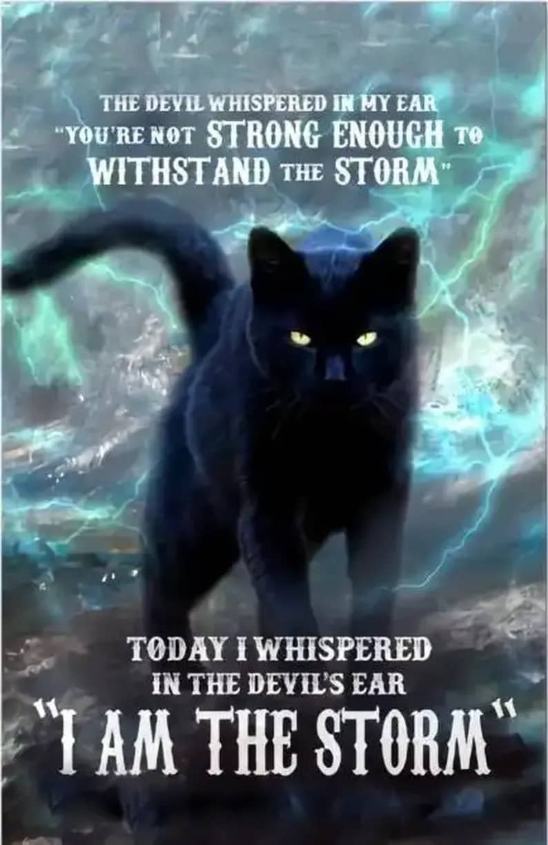 Cat Devil Whispered Youre Not Strong Enough To Withstand Storm I Im Poster