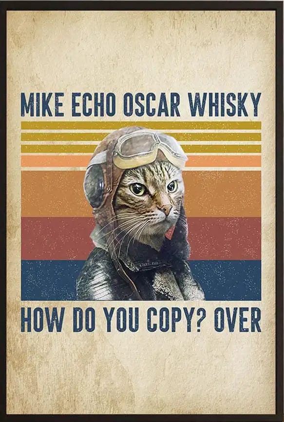 Cat Mike Echo Oska Whisky How Do You Copy Over Pilot Poster