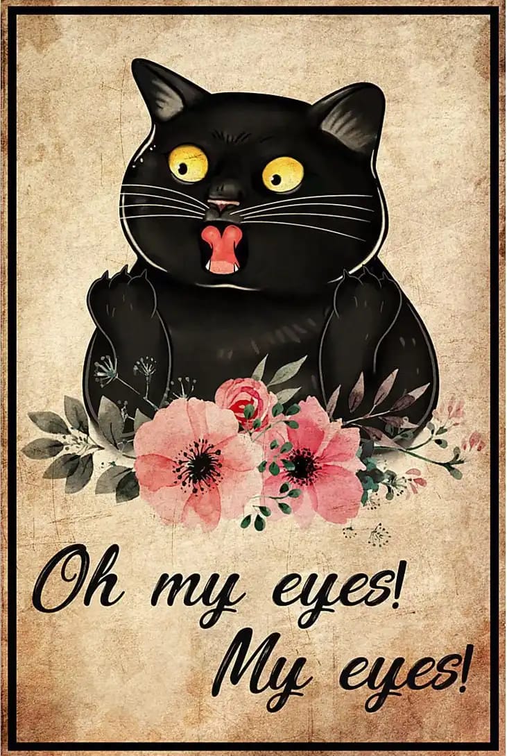 Cat Oh My Eyes Poster
