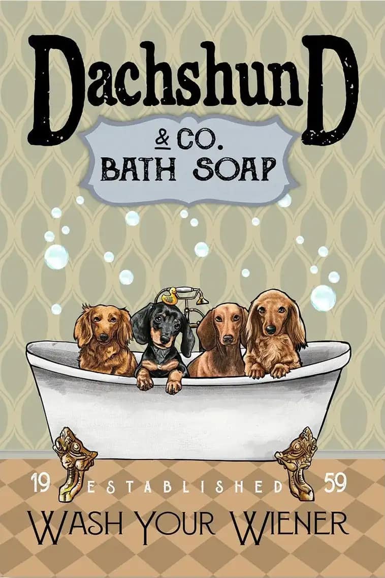 Dachshund Co Bath Soap Wash Your Wiener Animal Dog Dogs Lover Funny Poster