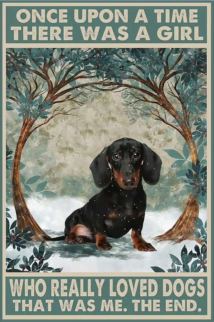 Dachshund Once Upon A Time There Was Girl Who Really Loved Dogs Dog Lover Cute Poster