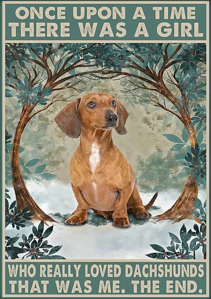 Dachshund Once Upon A Time There Was Girl Who Really Loved That Me Funny Cute Dog Poster