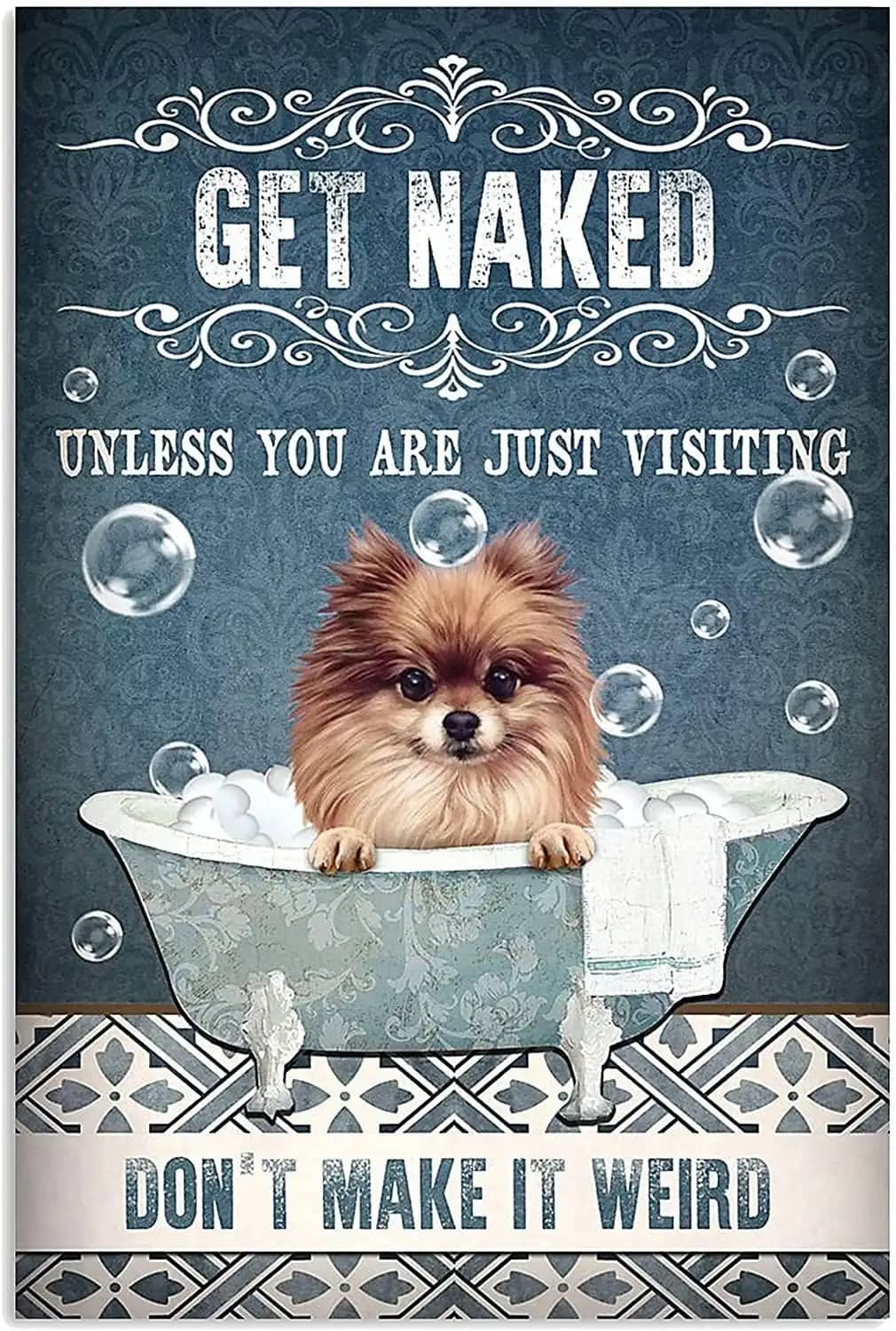 Get Naked Unless You Are Just Visiting Don'T Make It Weird Pomeranian Dog Poster