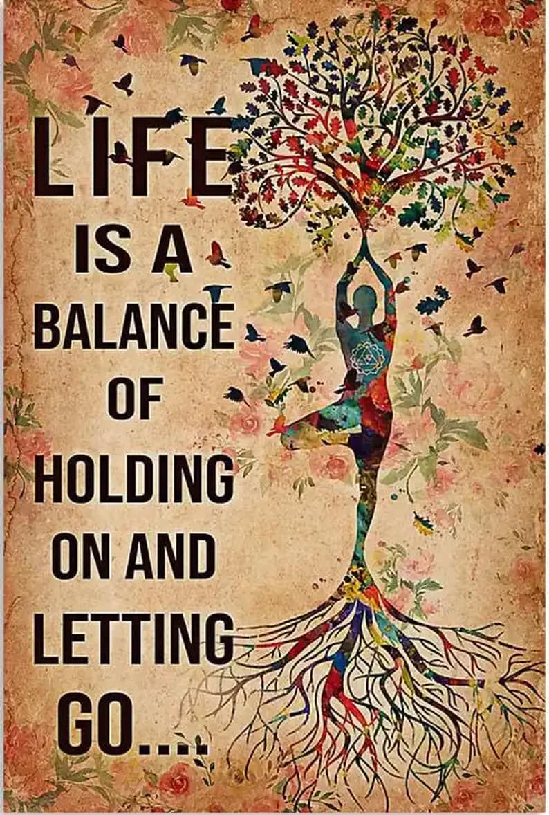 Life Is A Balance Of Holding On And Letting Go Poster