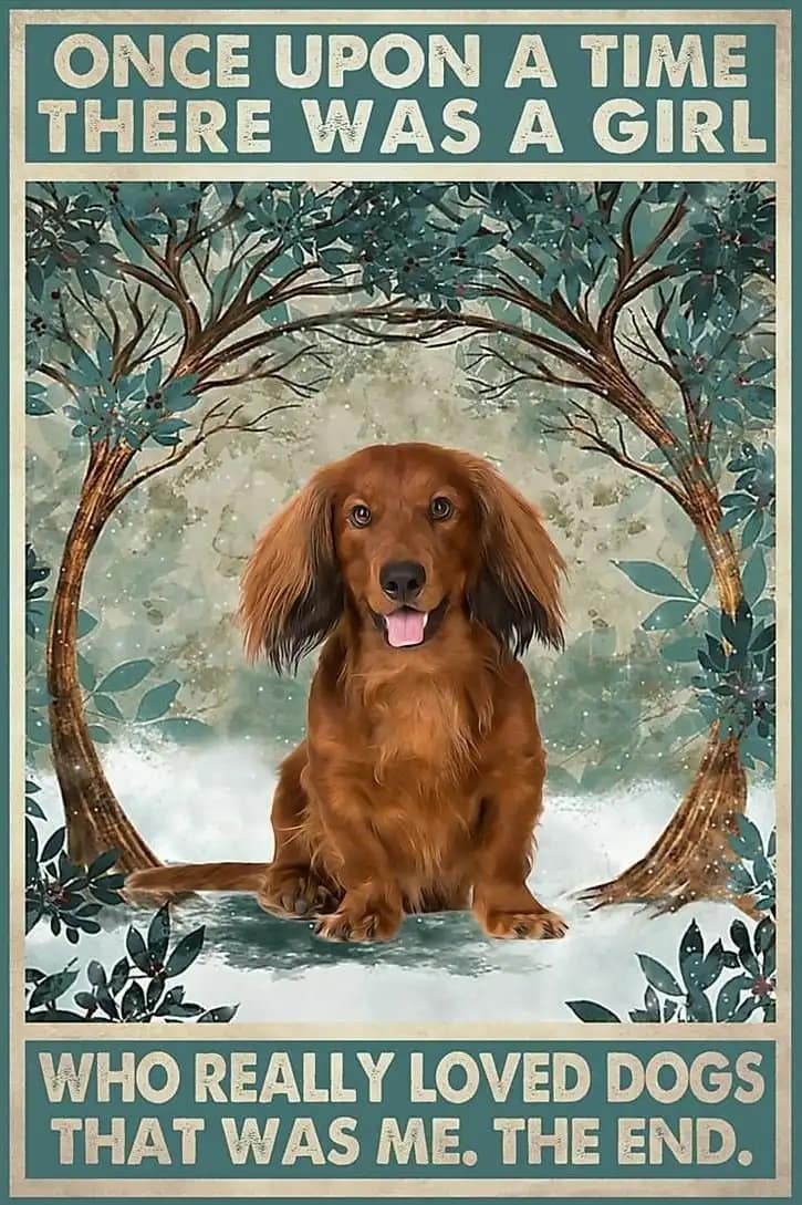 Longhaired Dachshunds Once Upon A Time There Was Girl Who Really Loved Dogs That Me The End Gift For Family Friend Poster