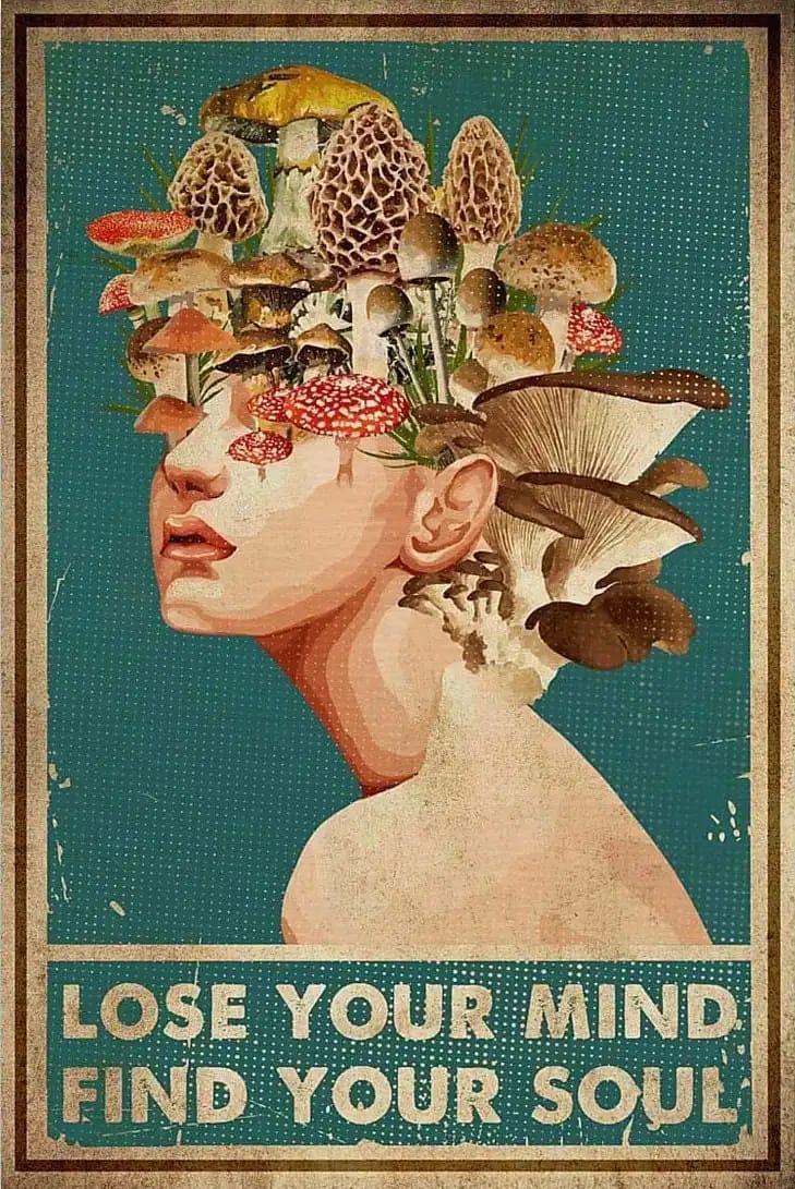Mushroom Lose Your Mind Find Soul Girl Vintage Poster