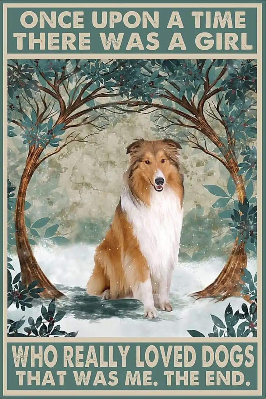 Once Upon A Time The Girl Who Really Loved Dogs That Was Me Rough Collie Funny Dog Lover Poster