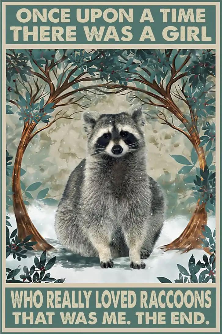 Once Upon A Time There Was Girl Who Really Loved Raccoons That Me Poster