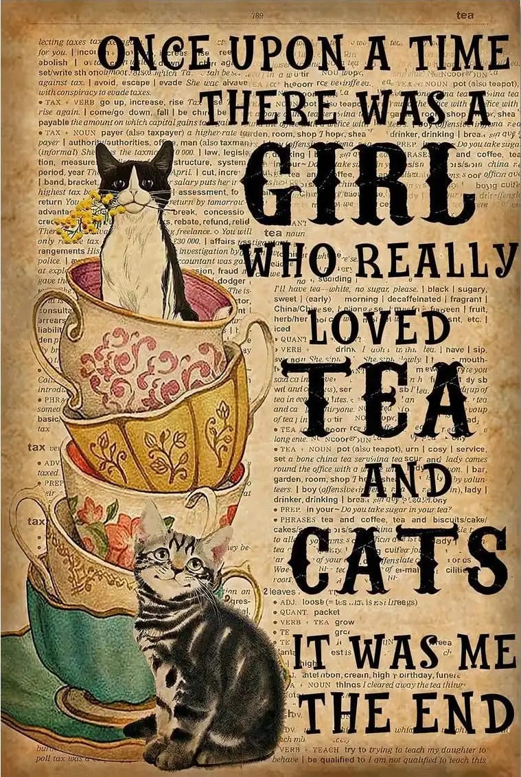 Once Upon The Time There Was A Girl Who Really Loved Tea And Cats It Me End Cat Lover Poster