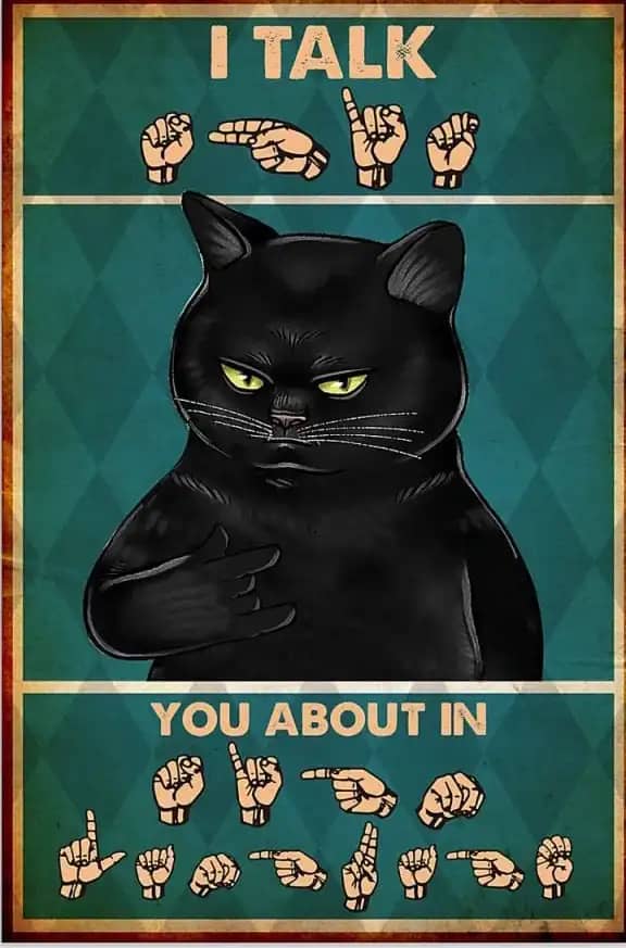 Sign Language Black Cat I Talk About In Poster